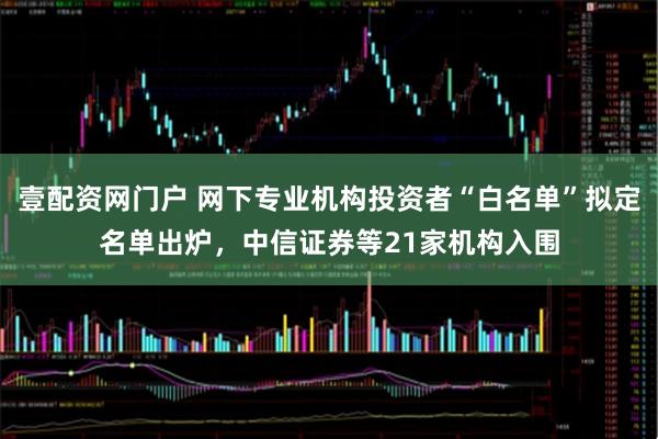 壹配资网门户 网下专业机构投资者“白名单”拟定名单出炉，中信证券等21家机构入围